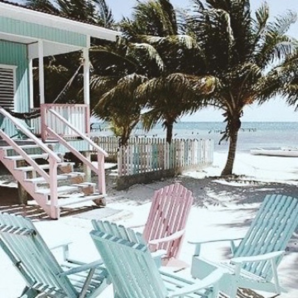 Meet your Posher, Eva